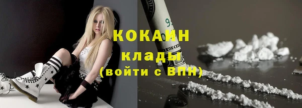 сатива Волоколамск