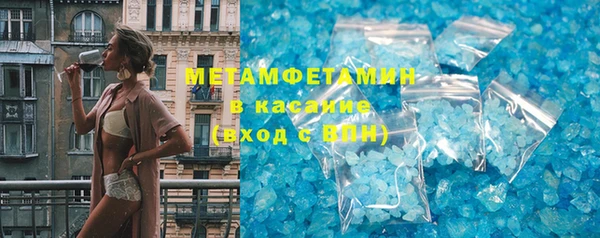 сатива Волоколамск
