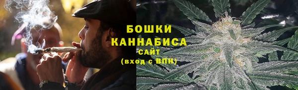 сатива Волоколамск