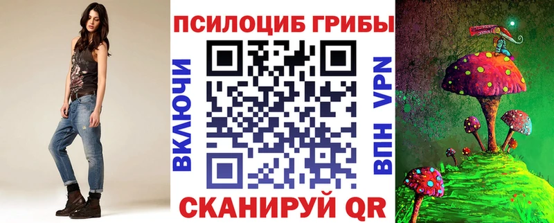 Купить  Нязепетровск  Псилоцибиновые грибы Cubensis 
